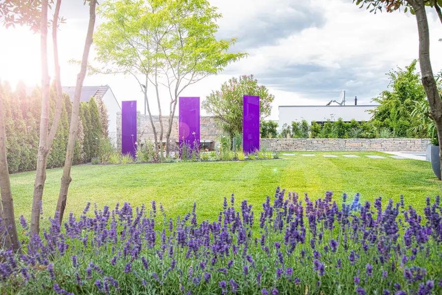 Rasenfläche mit Lavendelband und violetten Glasstelen im Gegenlicht